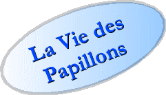 La vie des papillons
